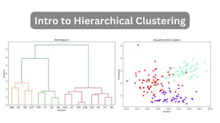 What is the difference between PCA and hierarchical clustering?