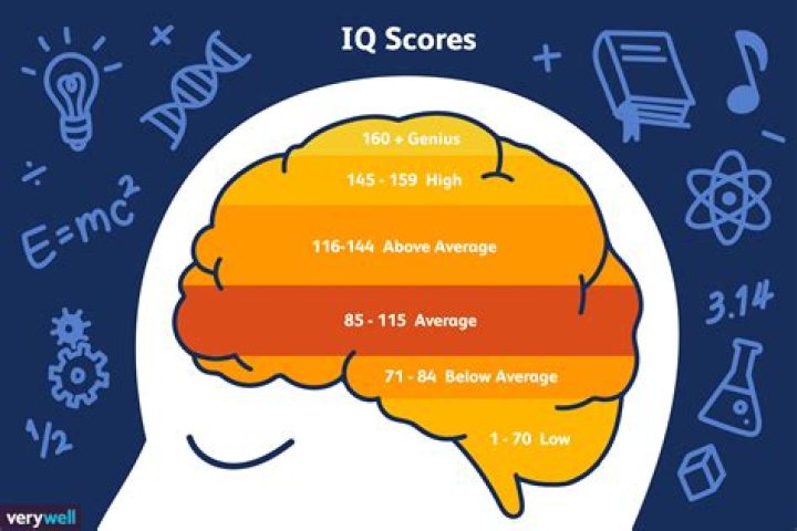 What is the highest IQ for a 10 year old?