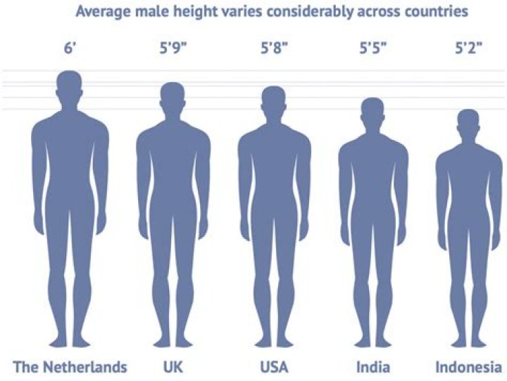 What is the ideal height in Korea?