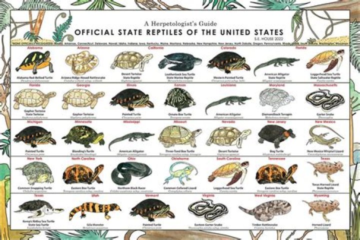 What is the Illinois state reptile?