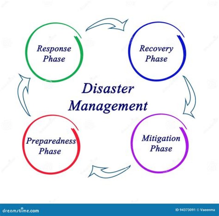 What is the importance of disaster management?