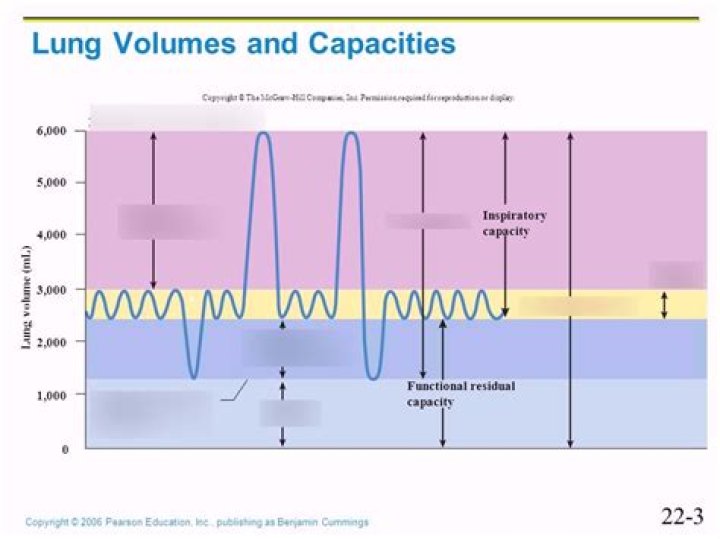 What is the lowest lung capacity you can live with?