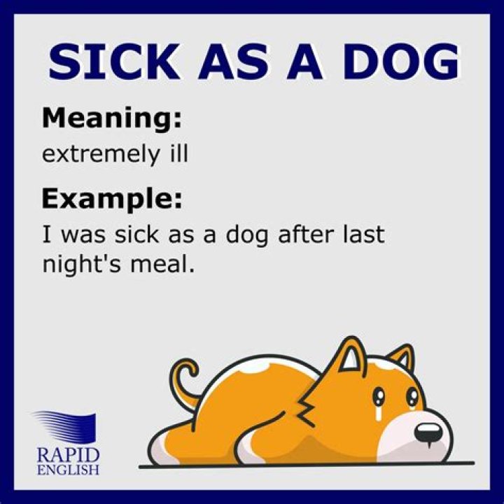 What is the meaning of the idiom sick as a dog?