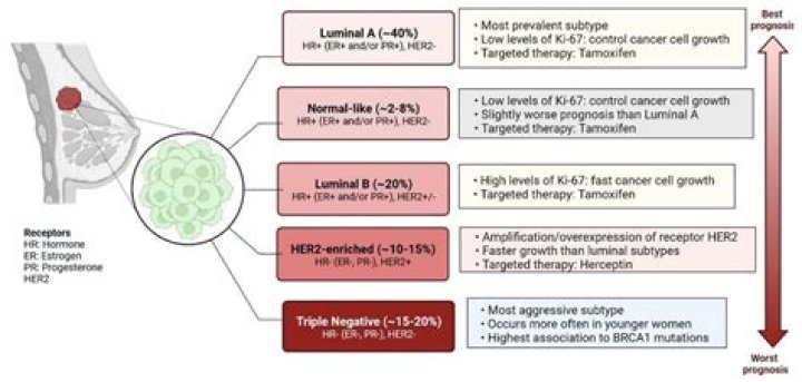 What is the most aggressive subtype of basal cell carcinoma?