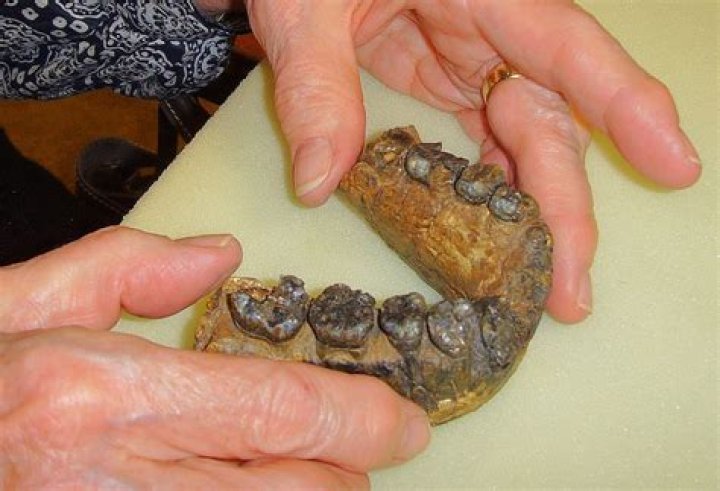 What is the oldest thing in the world?