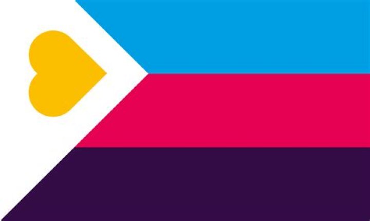 What is the poly flag?