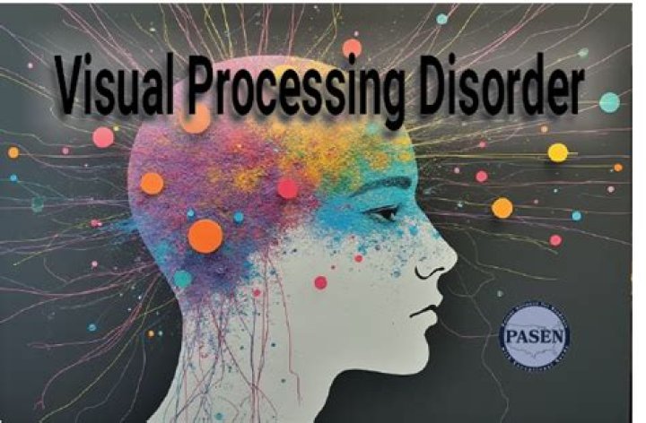 What is Visual Processing disorder?