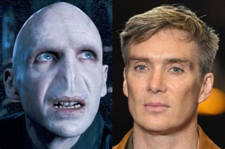 What is Voldemort's weakness?