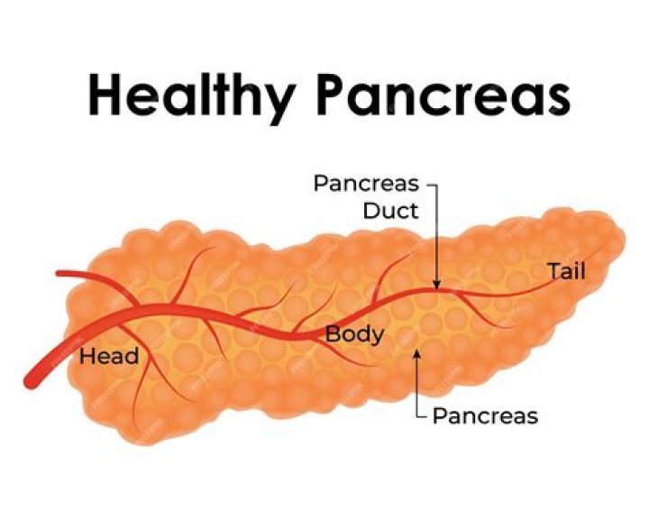 What keeps your pancreas healthy?