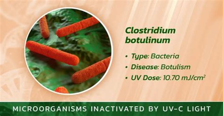 What kills botulism spores?