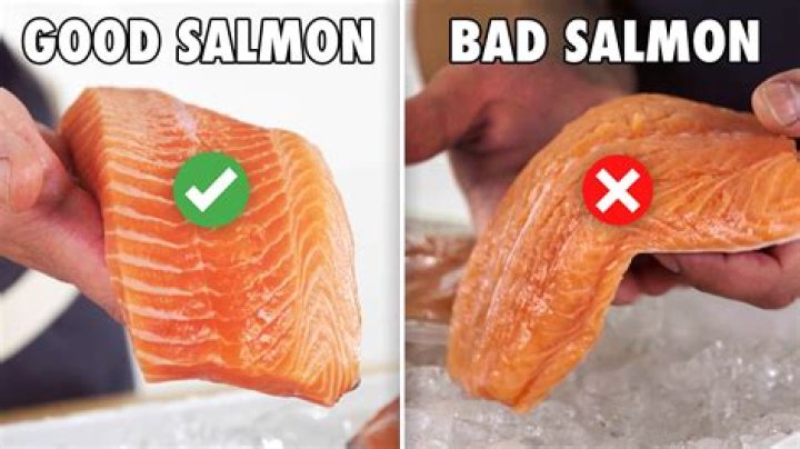 What kind of salmon has the least fishy taste?