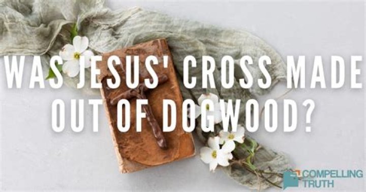 What kind of tree was Jesus cross made of?