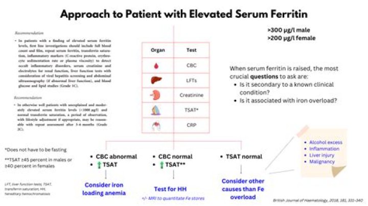 What level of ferritin requires venesection?