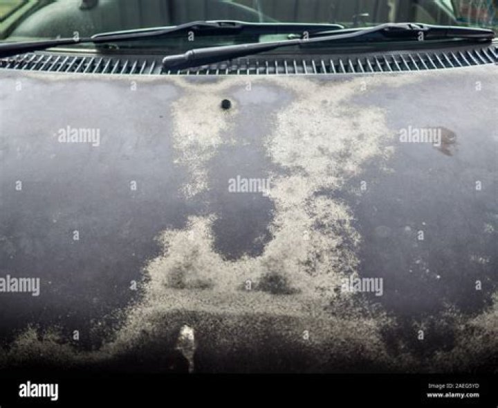 What liquid will destroy car paint?