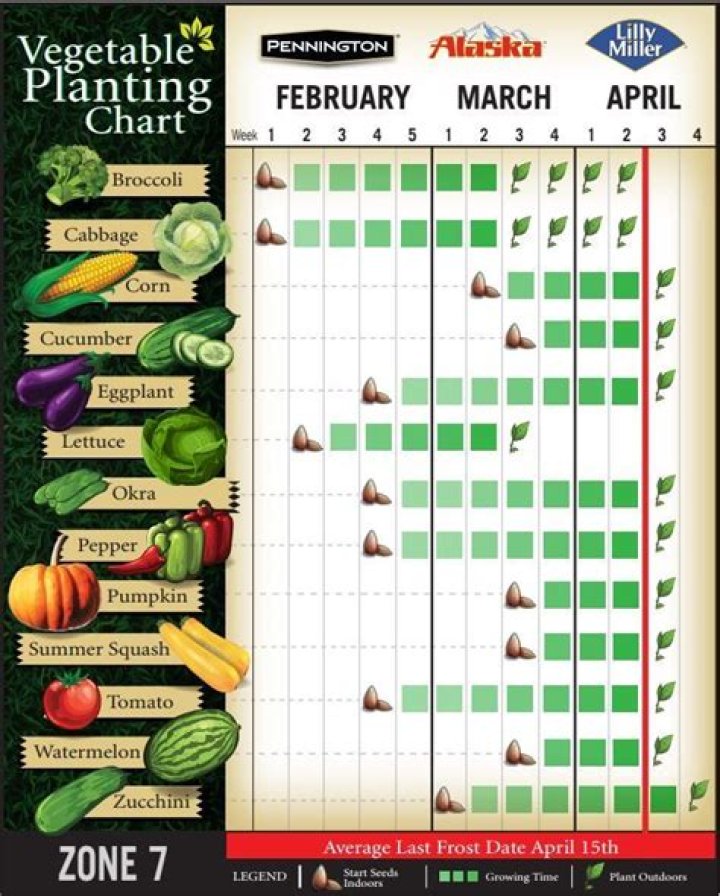 What month should I start my vegetable garden?