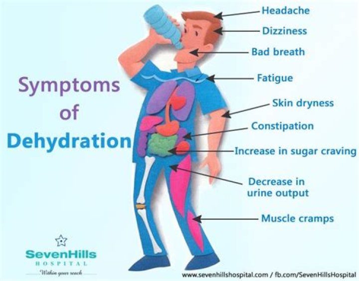 What organs are affected by dehydration?