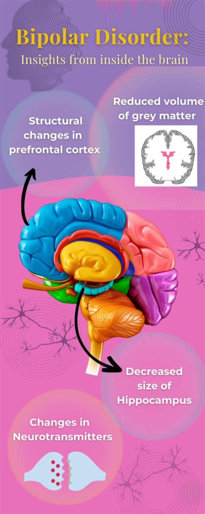 What parts of the brain does bipolar disorder affect?