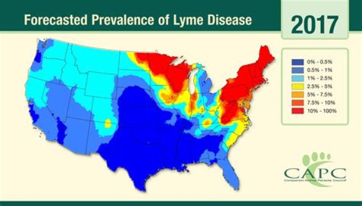 What percentage of ticks carry Lyme?