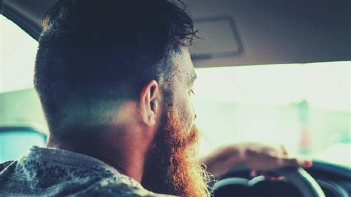 What percentage of truckers are owner-operators?