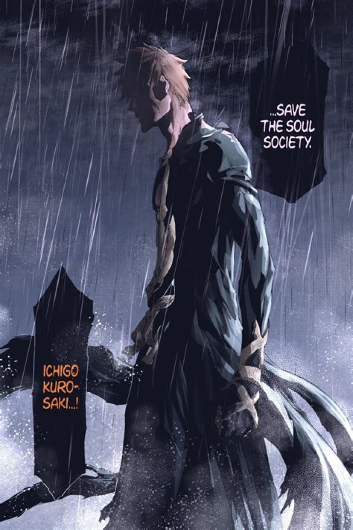 What rank is Ichigo in Soul Society?