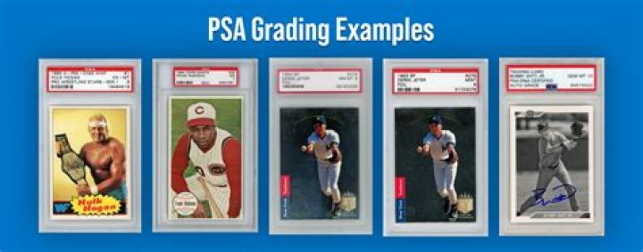 What should I look for when grading a sports card?