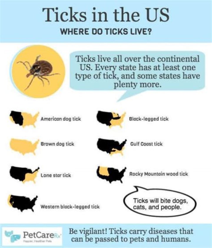 What state has the most ticks?