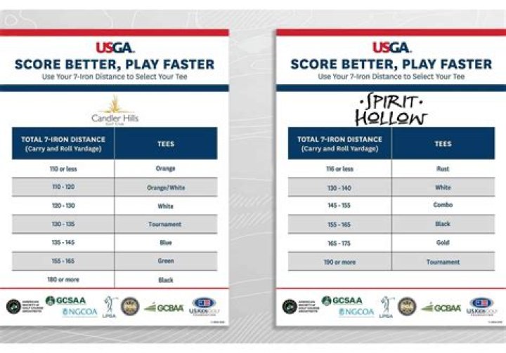 What tees should a 20 handicap play?