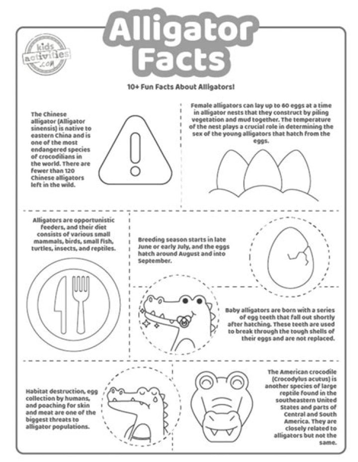 What to do if alligator grabs you?