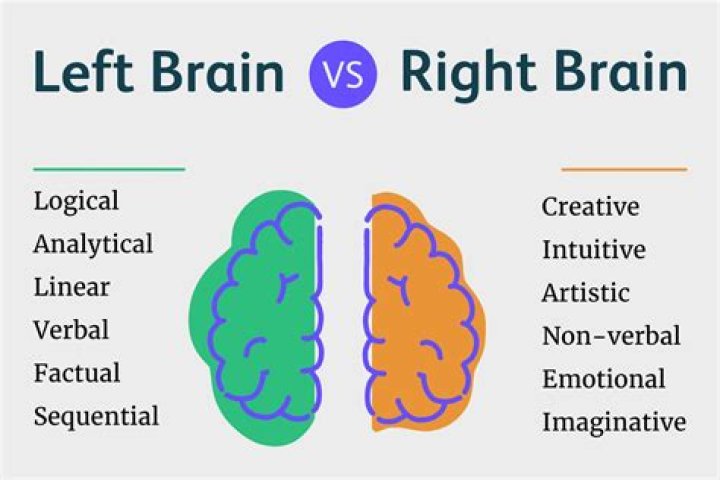 What traits are right brain dominant?
