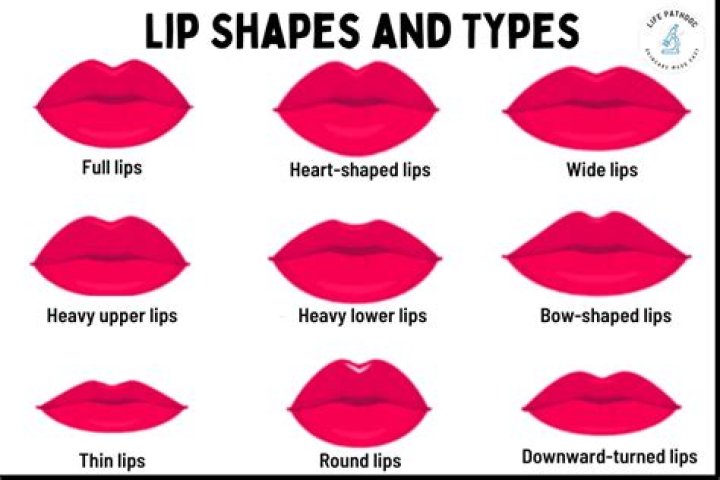 What type of lips are there?