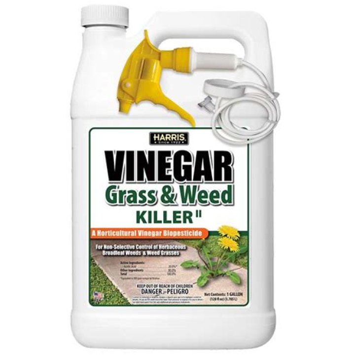 What vinegar is best for killing weeds?