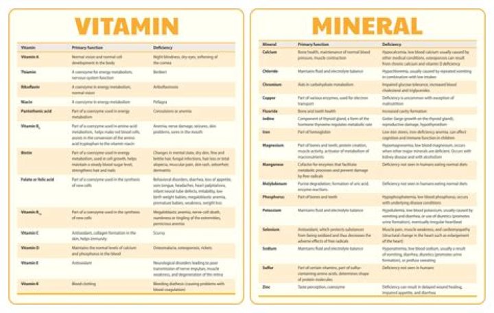 What vitamins and minerals Cannot be taken together?