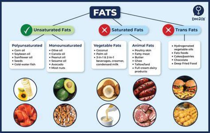 Whats the worst fat for you?