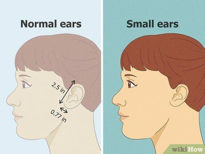 When did stretched ears become popular?