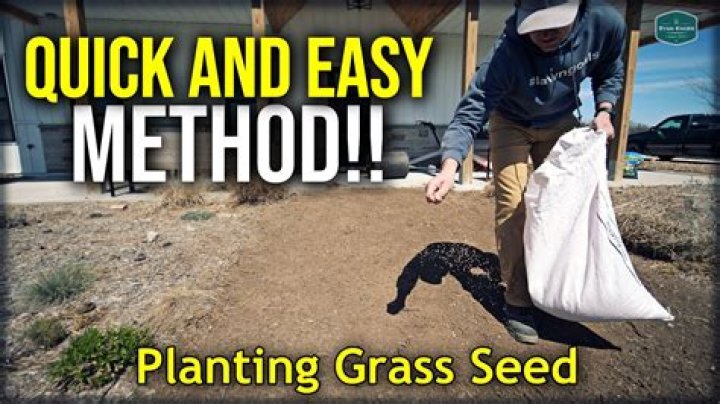 When should I not bag my grass?