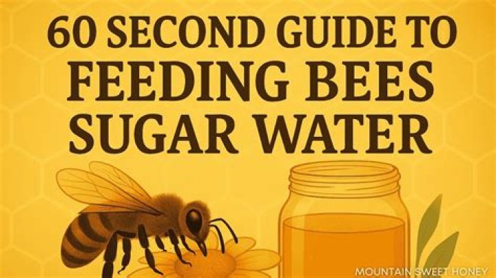 When should I stop giving my bees sugar water?