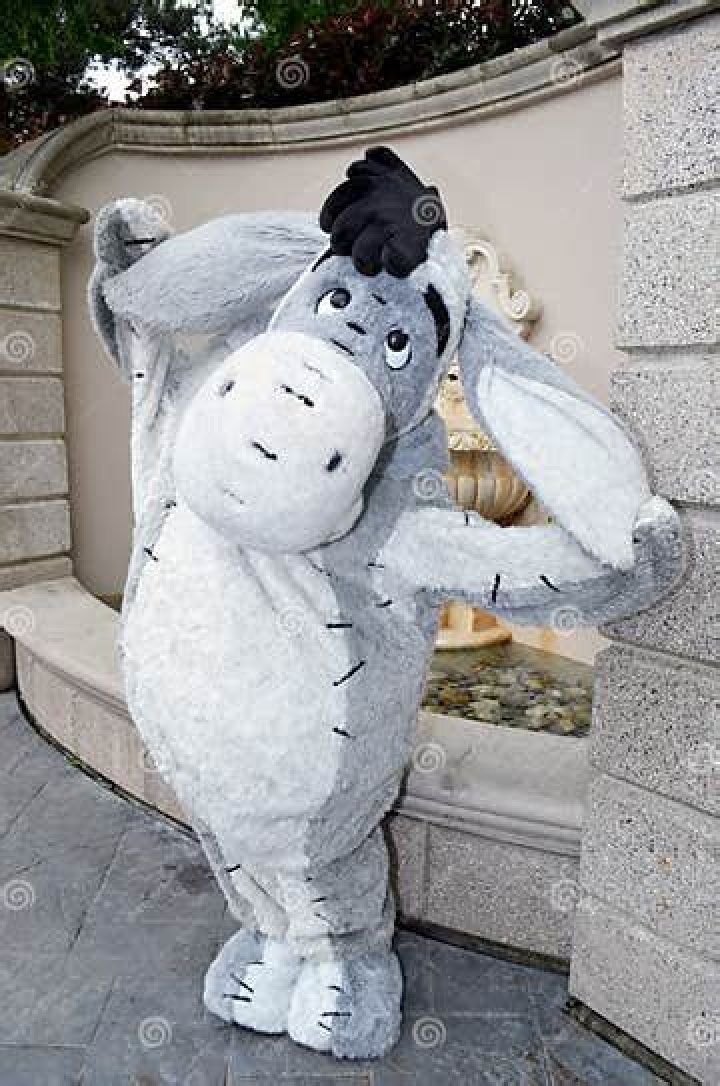 Where can you meet Eeyore in Disney World?