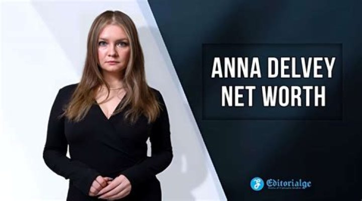 Where did Anna Delvey get money?