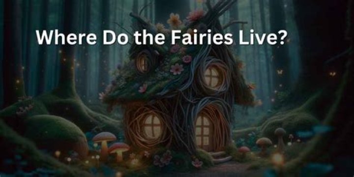 Where do the fairies live?
