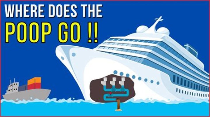 Where does all our poop go?
