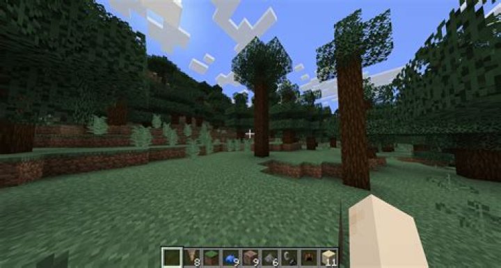 Where is taiga in Minecraft?