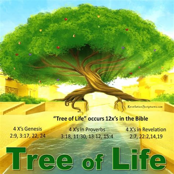 Where is tree of life in the Bible?