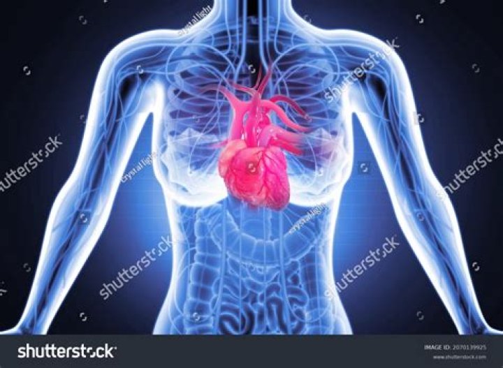 Where is your heart located on a woman?