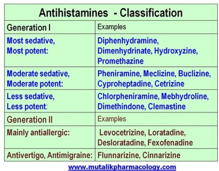 Which antihistamine is best for mold allergy?