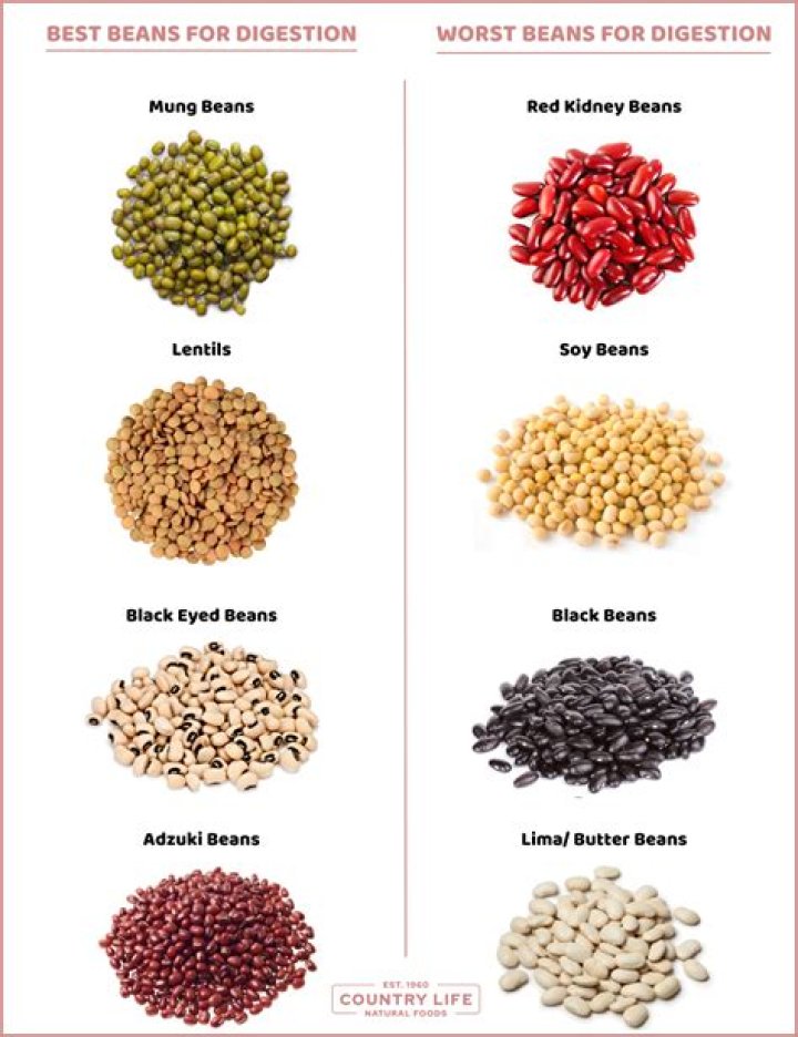 Which beans are toxic?