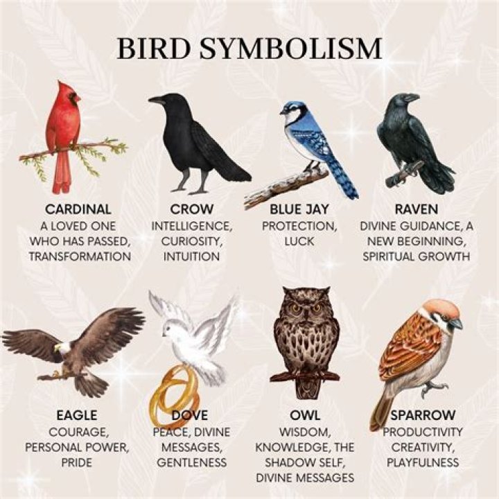 Which bird is the symbol of intelligence and wisdom?