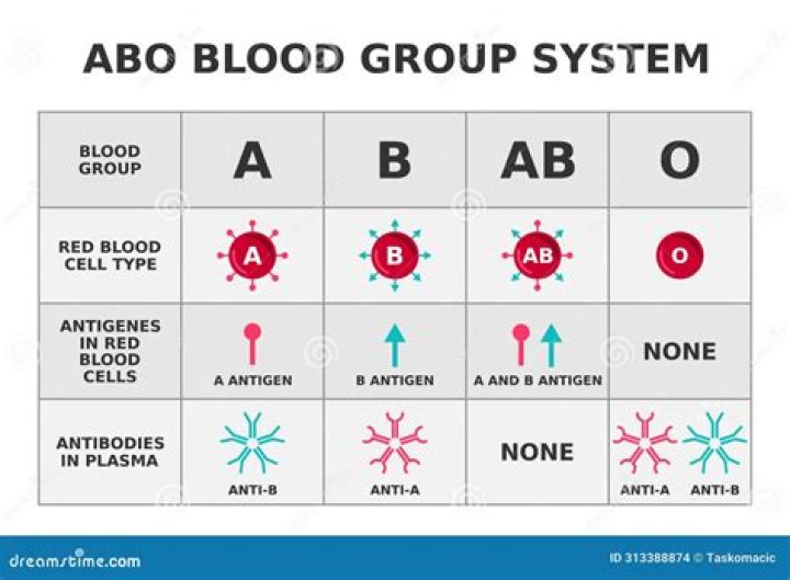 Which blood group is most intelligent?