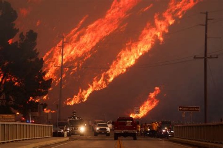 Which cars have the most fires?
