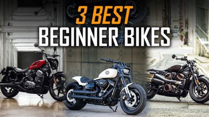 Which cc bike is best for beginners?