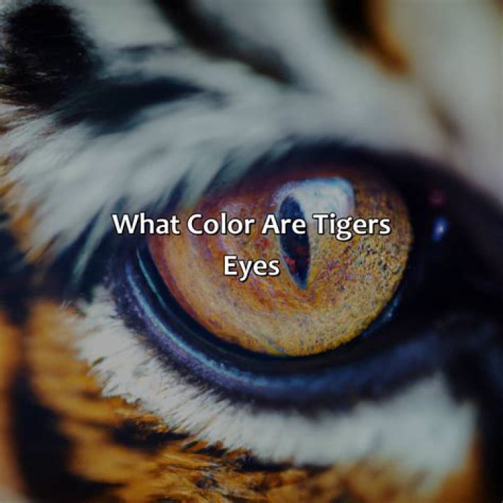 Which colour tiger eye is best?